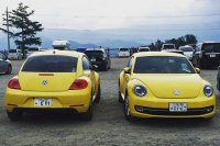 BEETLE (54)